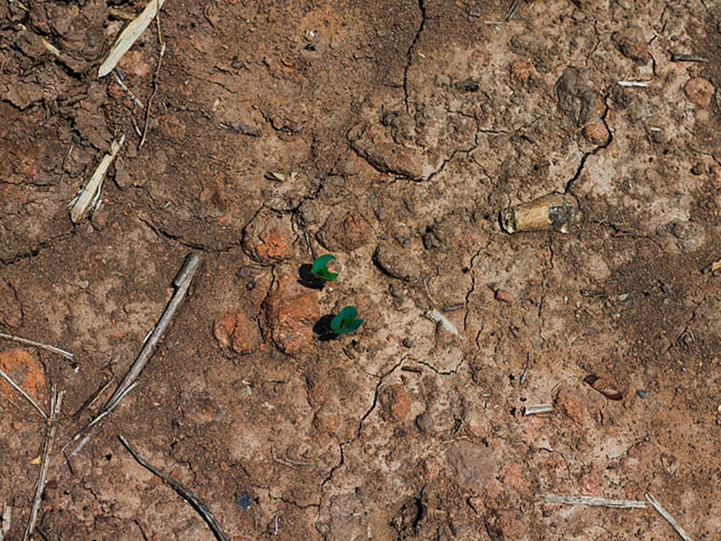 土壤檢測(cè)費(fèi)用一般是多少