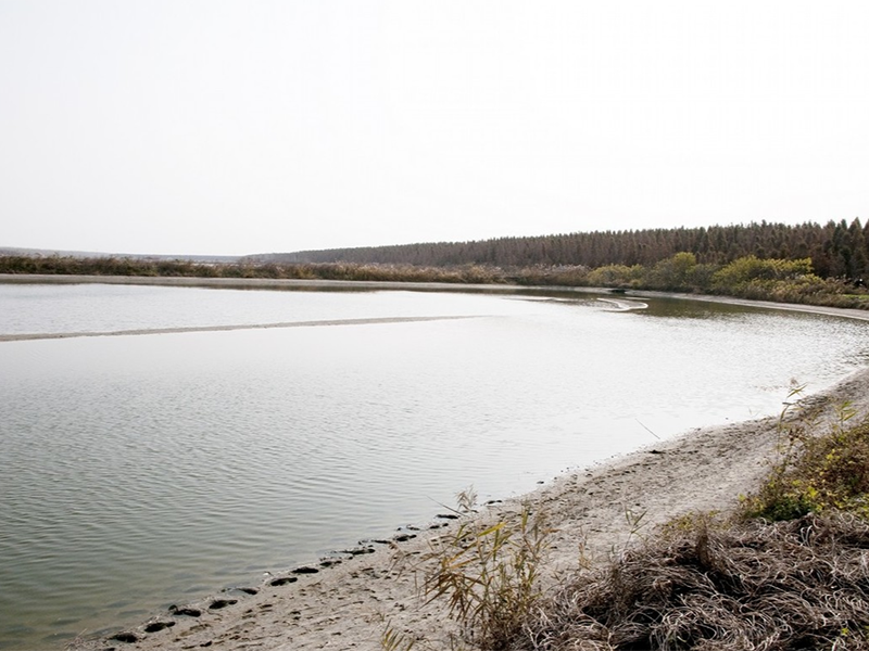 水質(zhì)總磷檢測(cè)儀原理