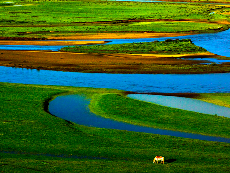 水質(zhì)總氮超標(biāo)的原因