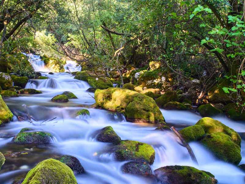 水中藍(lán)綠藻分析儀原理(水中藍(lán)綠藻分析儀使用注意事項(xiàng))