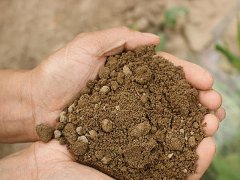 測試土壤以提高農(nóng)產(chǎn)品產(chǎn)量