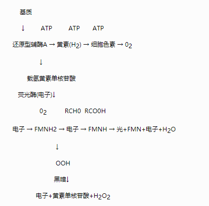 生物毒性檢測儀的檢測原理是什么